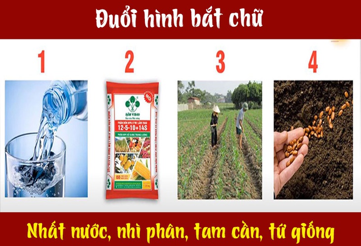 Câu tục ngữ, thành ngữ khó nhằn này là gì? (P13) - Ảnh 6. Câu tục ngữ, thành ngữ khó nhằn này là gì? (P13) - Ảnh 6.