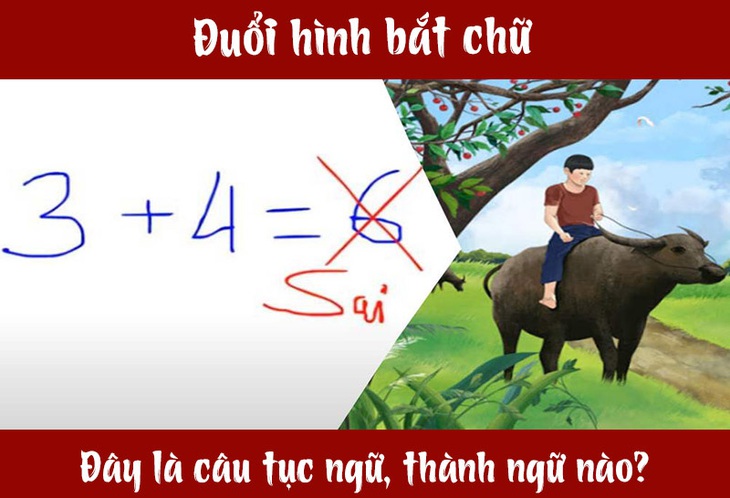 Câu tục ngữ, thành ngữ khó nhằn này là gì? (P13) - Ảnh 1. Câu tục ngữ, thành ngữ khó nhằn này là gì? (P13) - Ảnh 1.