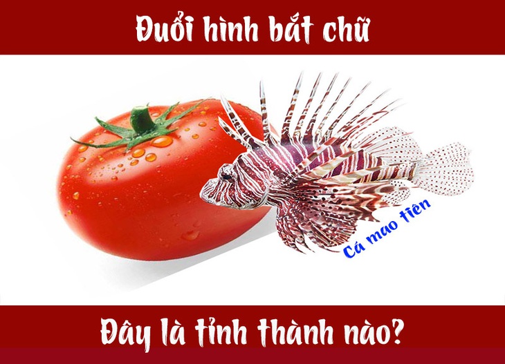 IQ cao có đoán được đây là tỉnh thành nào của Việt Nam? (P10) - Ảnh 1.