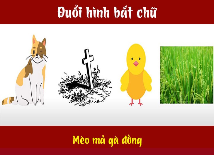 Câu tục ngữ, thành ngữ khó nhằn này là gì? (P14) - Ảnh 6. Câu tục ngữ, thành ngữ khó nhằn này là gì? (P14) - Ảnh 6.