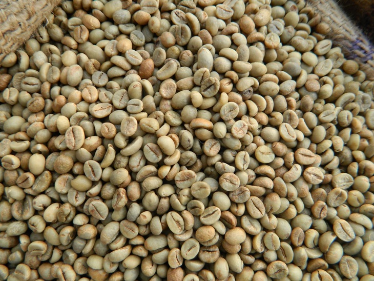 Báo Mỹ: Việt Nam dốc toàn lực cho hạt cà phê robusta - Ảnh 1.