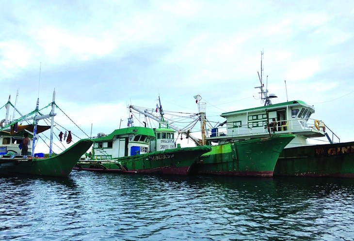 Các tàu đánh cá thương mại neo đậu ngoài khơi đảo Siargao, một ngư trường phong phú của Philippines. Ảnh: Roel N. Catoto