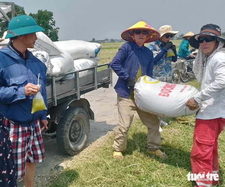 Những chuyến xe miễn phí chở lúa từ ruộng về nhà dân giữa ngày nóng đổ lửa - Ảnh 3.