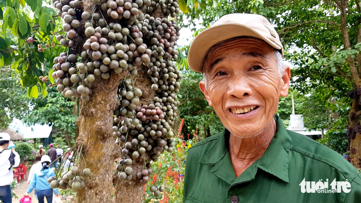 Hàng trăm khách đổ về vườn đỏ như những chùm nho khổng lồ ở Phú Yên - Ảnh 5.