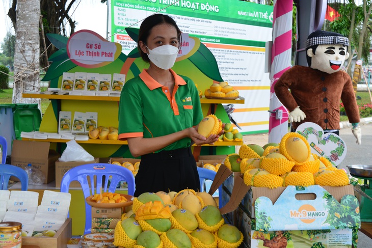 Đồng Tháp với chuỗi ngành hàng xoài chất lượng cao - Ảnh 4.