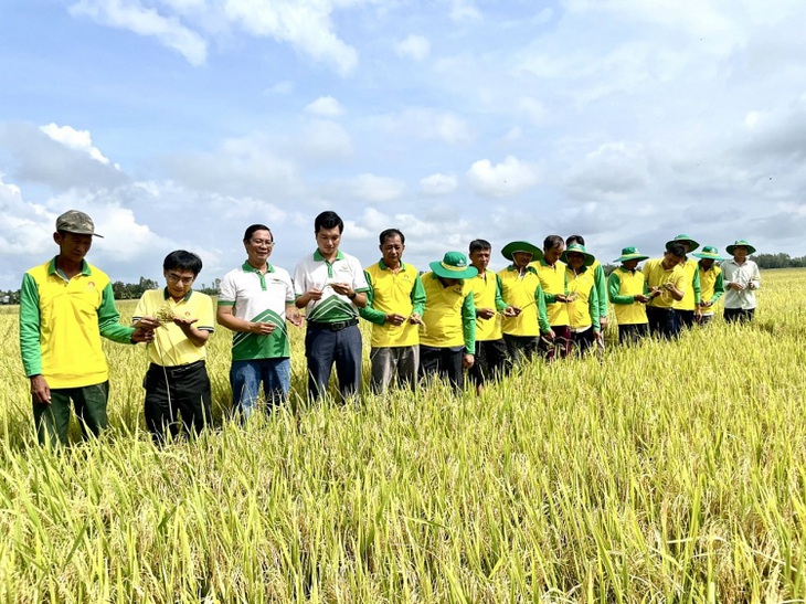 Người nông dân sử dụng Phân Bón Cà Mau, góp phần đảm bảo an ninh lương thực của đất nước.