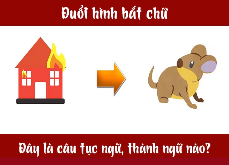 Câu tục ngữ, thành ngữ khó nhằn này là gì? (P16) - Ảnh 4. Câu tục ngữ, thành ngữ khó nhằn này là gì? (P16) - Ảnh 4.