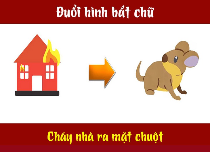 Câu tục ngữ, thành ngữ khó nhằn này là gì? (P16) - Ảnh 6. Câu tục ngữ, thành ngữ khó nhằn này là gì? (P16) - Ảnh 6.