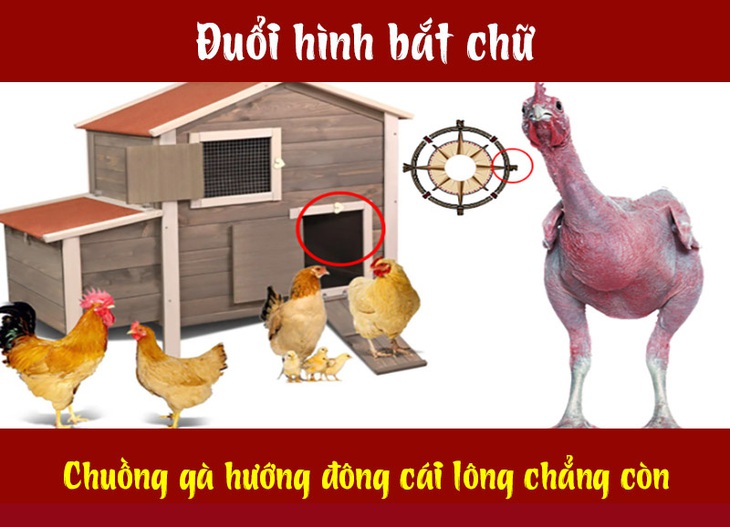 Câu tục ngữ, thành ngữ khó nhằn này là gì? (P18) - Ảnh 3.