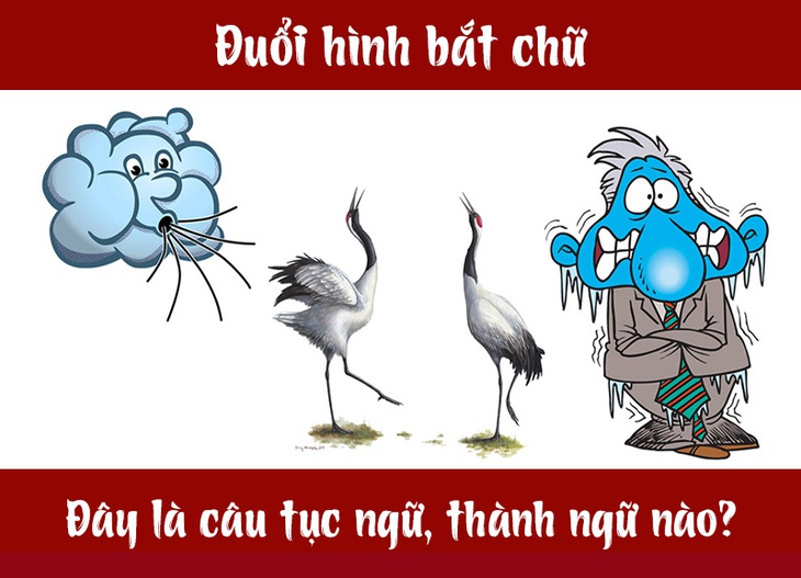 Câu tục ngữ, thành ngữ khó nhằn này là gì? (P16) - Ảnh 1. Câu tục ngữ, thành ngữ khó nhằn này là gì? (P16) - Ảnh 1.
