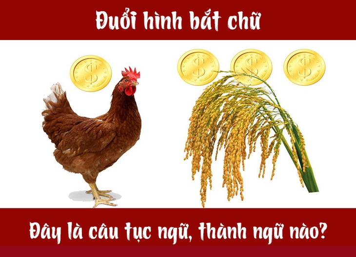 Câu tục ngữ, thành ngữ khó nhằn này là gì? (P17) - Ảnh 1.