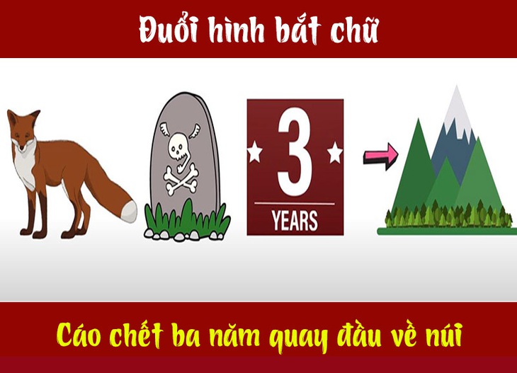 Câu tục ngữ, thành ngữ khó nhằn này là gì? (P21) - Ảnh 9.