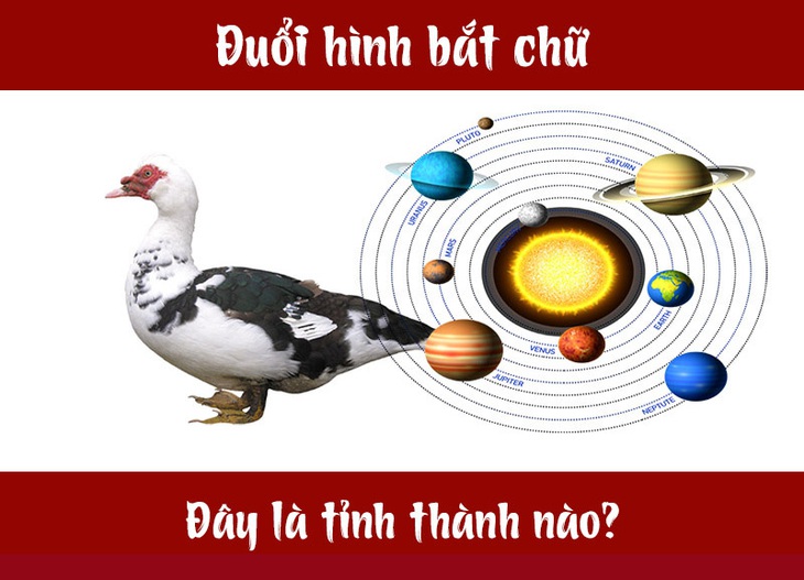 IQ cao có đoán được đây là tỉnh thành nào của Việt Nam? (P15) - Ảnh 1.