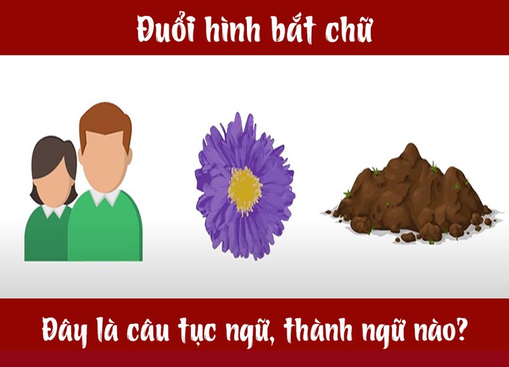 Câu tục ngữ, thành ngữ khó nhằn này là gì? (P20) - Ảnh 7. Câu tục ngữ, thành ngữ khó nhằn này là gì? (P20) - Ảnh 7.
