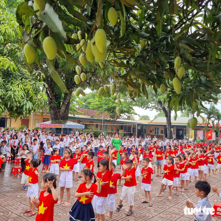 Thầy cô hái xoài trong sân trường tặng học trò cuối năm học - Ảnh 2.