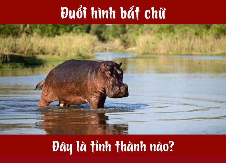 IQ cao có đoán được đây là tỉnh thành nào của Việt Nam? (P17) - Ảnh 7. IQ cao có đoán được đây là tỉnh thành nào của Việt Nam? (P17) - Ảnh 7.