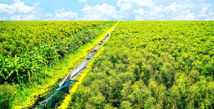 Thợ “ăn ong” hay đi cùng để hỗ trợ nhau giữa rừng tràm rộng lớn U Minh Hạ - Ảnh: NGUYỄN THANH DŨNG