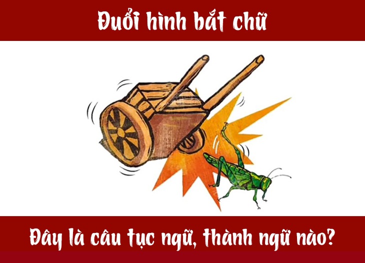 Câu tục ngữ, thành ngữ khó nhằn này là gì? (P21) - Ảnh 7. Câu tục ngữ, thành ngữ khó nhằn này là gì? (P21) - Ảnh 7.