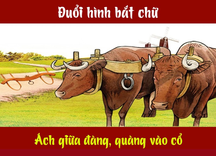 Câu tục ngữ, thành ngữ khó nhằn này là gì? (P25) - Ảnh 3.