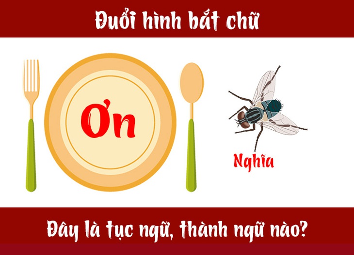 Câu tục ngữ, thành ngữ khó nhằn này là gì? (P23) - Ảnh 1. Câu tục ngữ, thành ngữ khó nhằn này là gì? (P23) - Ảnh 1.