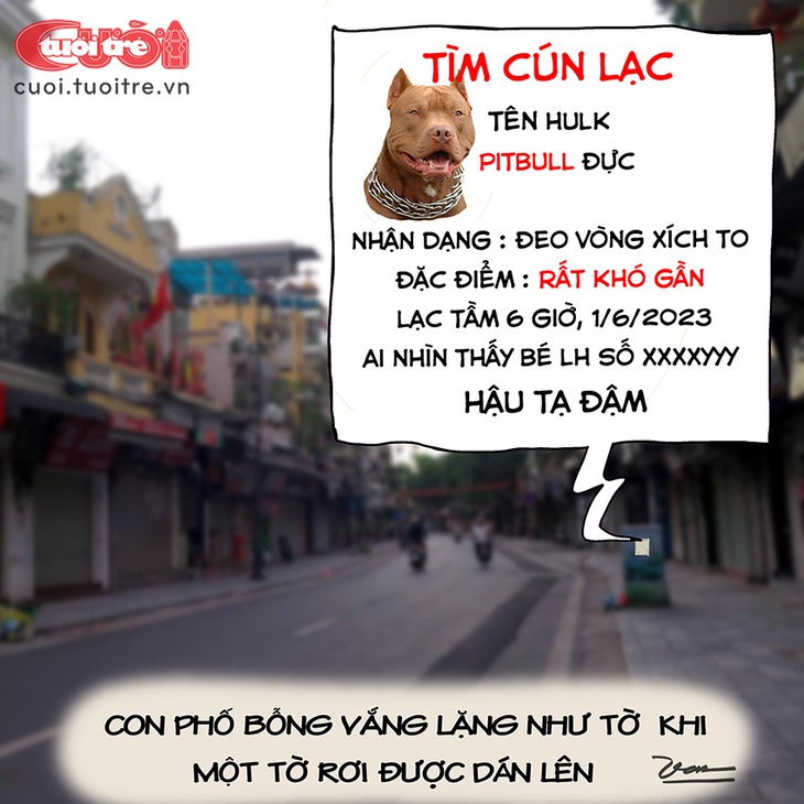 Tìm chó lạc khiến con phố im ắng - Ảnh 1.