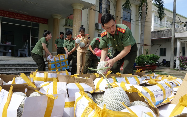 Dưa lưới bị chuột cắn phá, tuổi trẻ Kiên Giang kịp thời hỗ trợ đầu ra cho bà con nông dân