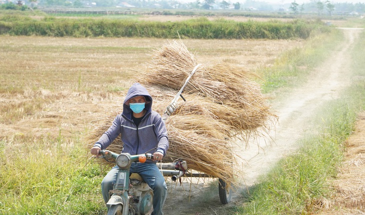Thời tiết hôm nay 1-8: Bắc Bộ mưa chiều, Trung Bộ nắng nóng - Ảnh 1.