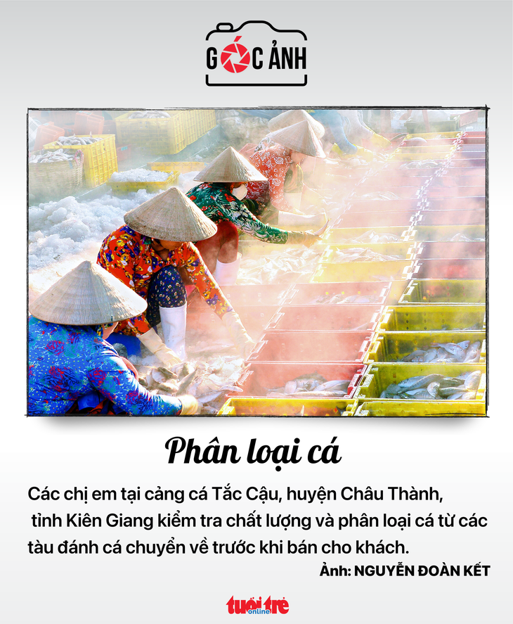 Tin tức sáng 10-5: 1 triệu lượt khách Hàn Quốc đã đến Việt Nam; 2.122 ca mắc COVID-19 mới - Ảnh 6.