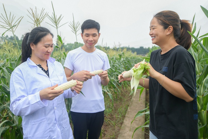 Bên cạnh cơm trắng, có thể dùng thêm ngô, khoai để giảm lượng gạo trắng sử dụng và đa dạng loại tinh bột - Ảnh: HÀ QUÂN