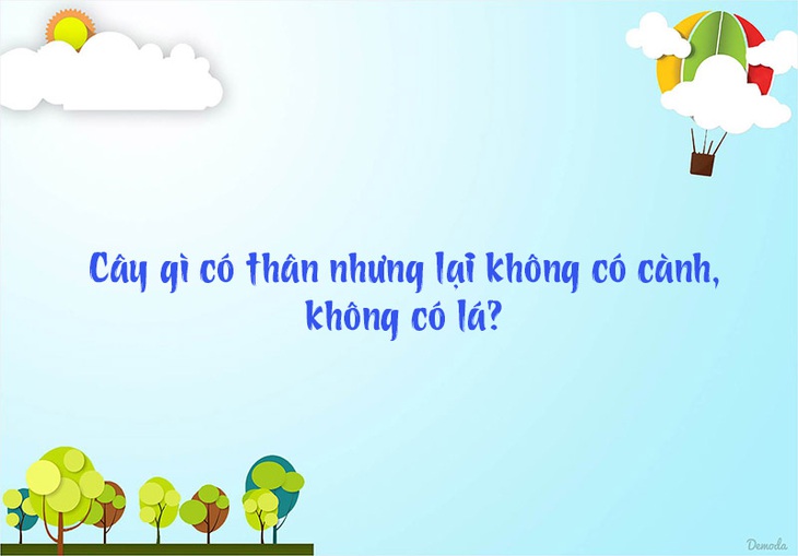 Đố vui: Cái gì càng phá nhiều thì càng được khen? - Ảnh 7.