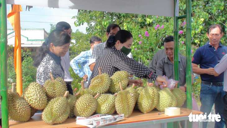 Nông dân thiếu hàng bán trong ngày hội trái sầu riêng - Ảnh 3.