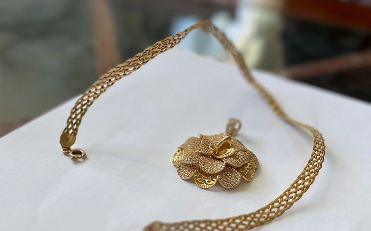 Bắt thanh niên gây ra hàng loạt vụ cướp giật dây chuyền của phụ nữ ở miền Tây - Ảnh 5.