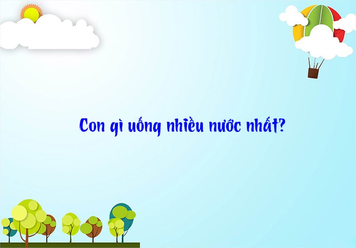 Câu đố hack não: Con gì uống nhiều nước nhất? - Ảnh 1. Câu đố hack não: Con gì uống nhiều nước nhất? - Ảnh 1.