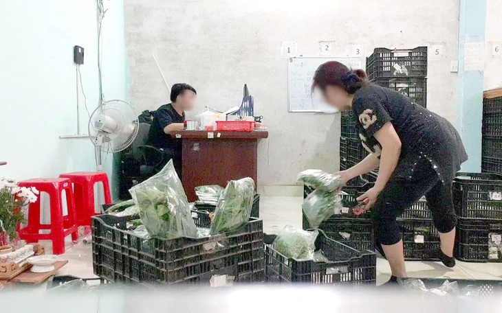 'Choáng' với con số diện tích rau sản xuất VietGAP ở Việt Nam - Ảnh 4.