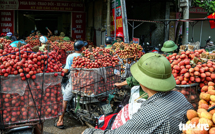 Trái vải lòng vòng qua Mỹ