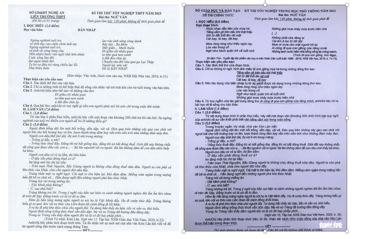 Nghi vấn lộ đề thi văn: Giống đề thi thử của tỉnh? - Ảnh 3.