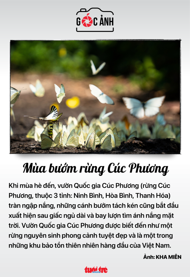 Tin tức sáng 30-6: Từ 1-9, cấm ngân hàng cho vay mua vàng, đảo nợ, gửi tiết kiệm - Ảnh 6.