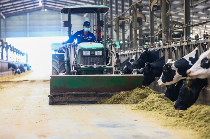 Đèn chiếu sáng trong trang trại, nhà máy của TH đều được chuyển đổi từ đèn sợi đốt sang đèn led, giúp giảm gần 4.000 tấn CO2 mỗi năm