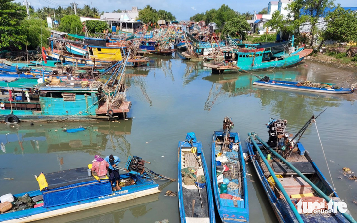 Kiên Giang cấm tàu nhỏ bắt sò huyết, nghêu ven biển trong 6 tháng - Ảnh 1.