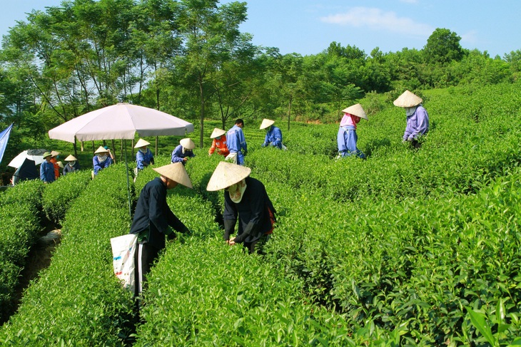 Các cơ sở sản xuất của Masan góp phần tạo ra công ăn việc làm, giúp cải thiện đời sống của người dân địa phương