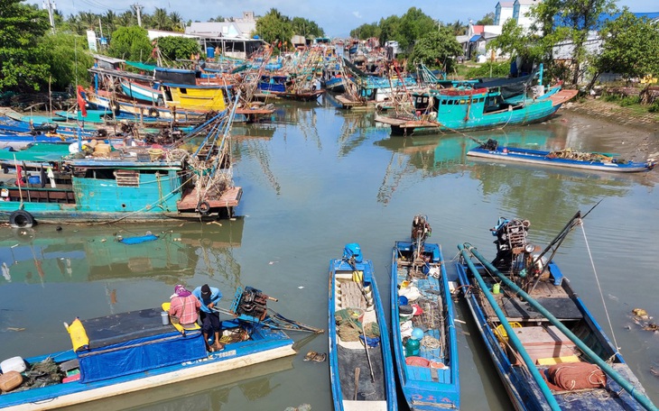 Kiên Giang cấm tàu nhỏ bắt sò huyết, nghêu ven biển trong 6 tháng