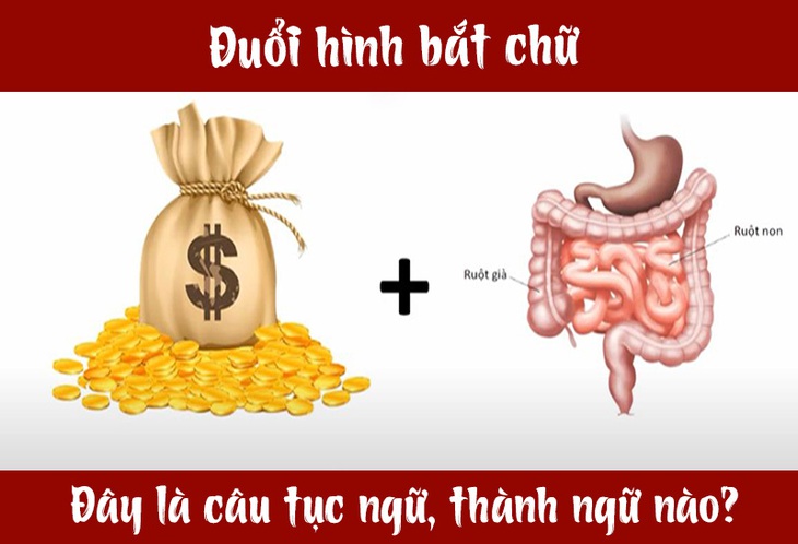 Câu tục ngữ, thành ngữ khó nhằn này là gì? (P28) - Ảnh 4.