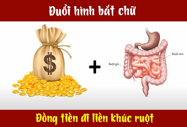 Câu tục ngữ, thành ngữ khó nhằn này là gì? (P28) - Ảnh 6.