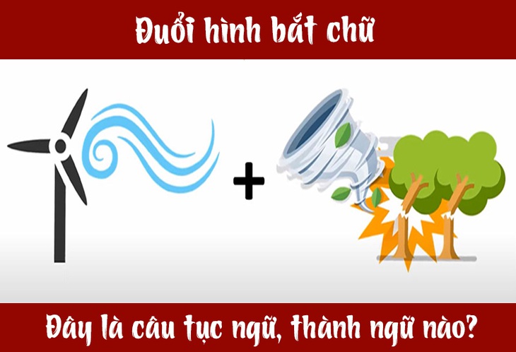 Câu tục ngữ, thành ngữ khó nhằn này là gì? (P27) - Ảnh 7.