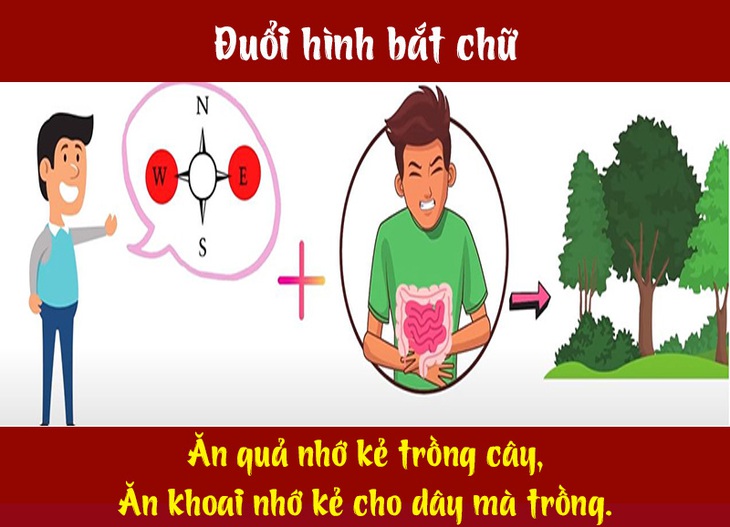 Câu ca dao, tục ngữ hóc búa này là gì? (P3) - Ảnh 6.