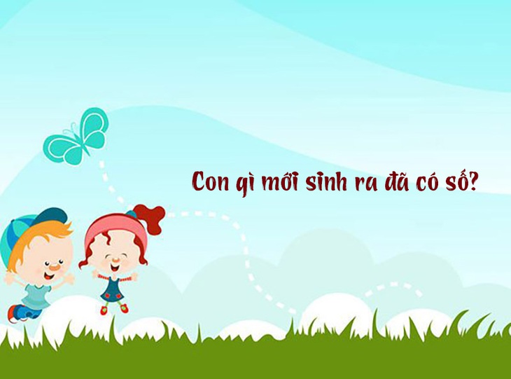 Câu đố hack não: Nơi nào không có đường mà ngựa, xe vẫn qua lại? - Ảnh 4. Câu đố hack não: Nơi nào không có đường mà ngựa, xe vẫn qua lại? - Ảnh 4.