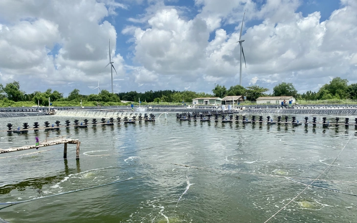 Xung đột ở Trung Đông ảnh hưởng thế nào đến giá thức ăn chăn nuôi Việt Nam - Ảnh 4.