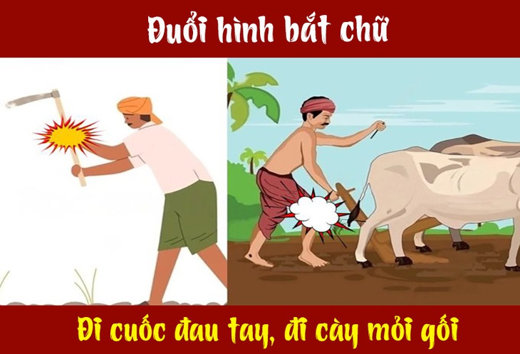 Câu tục ngữ, thành ngữ 'khó nhằn' này là gì? (P38) - Ảnh 1.