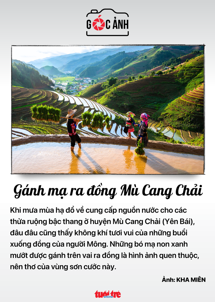 Tin tức sáng 15-7: - Ảnh 7.