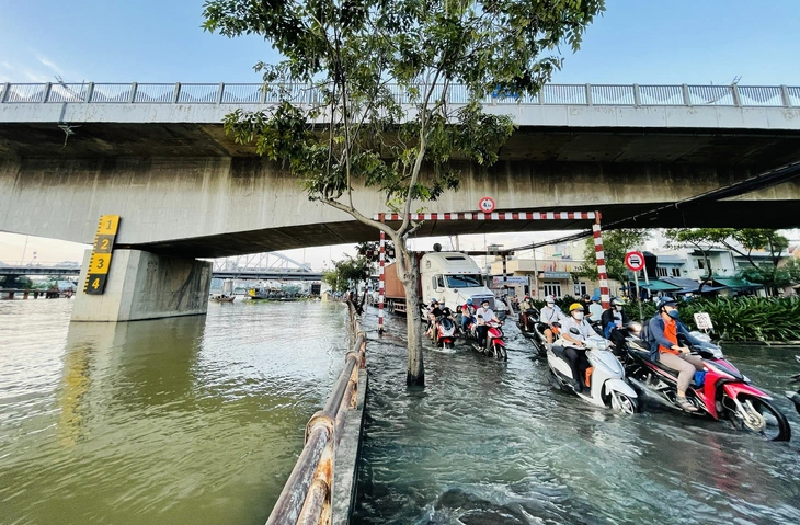 Trong tháng 3， các sở ngành TP.HCM phải hoàn thành nhiều việc gỡ vướng dự án ngăn triều 10.000 tỉ - Ảnh 1.